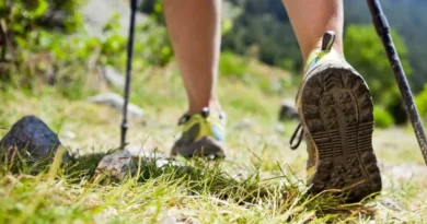 meilleures chaussures marche nordique femme
