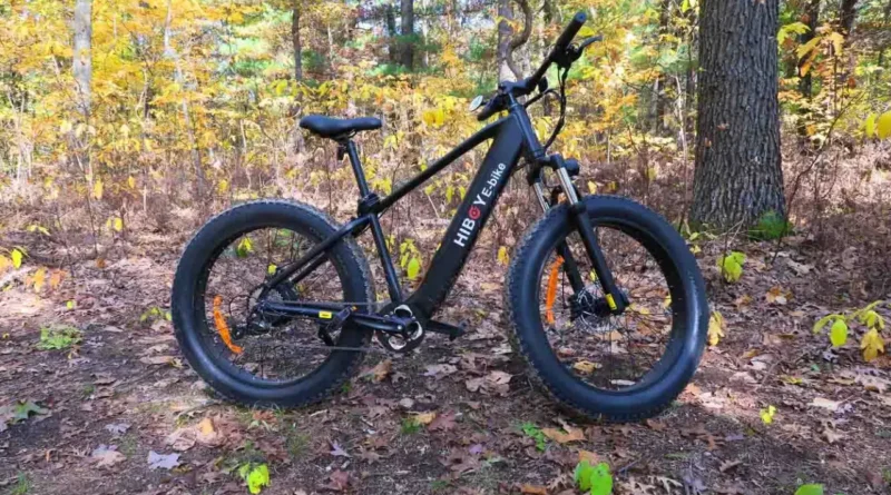 pourquoi choisir fatbike électrique